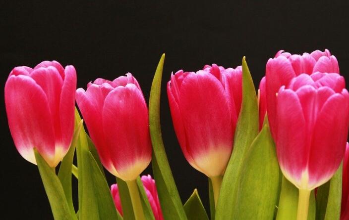 唯美爱情早安心语