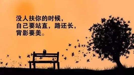 关于尊重的简短句子文案