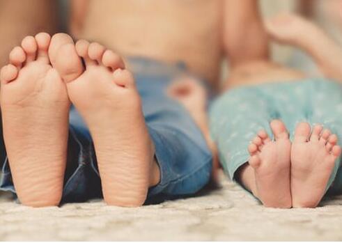 关于同胞手足的诗句文案