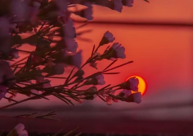 带点丧的宝藏句子文案