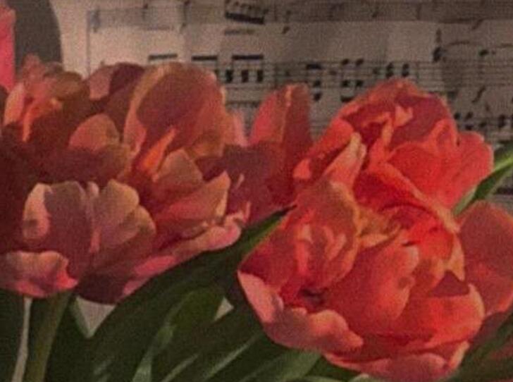 有关花店的优美句子文案