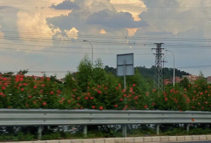 极度缺乏安全感说说文案