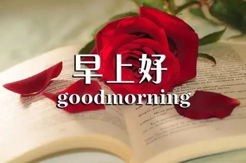 周一问安的句子文案