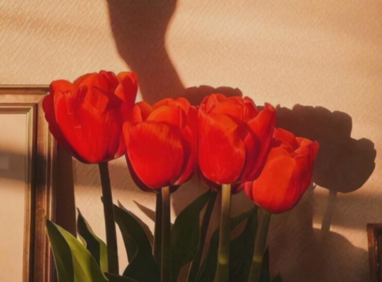 夏日买衣服小清新文案