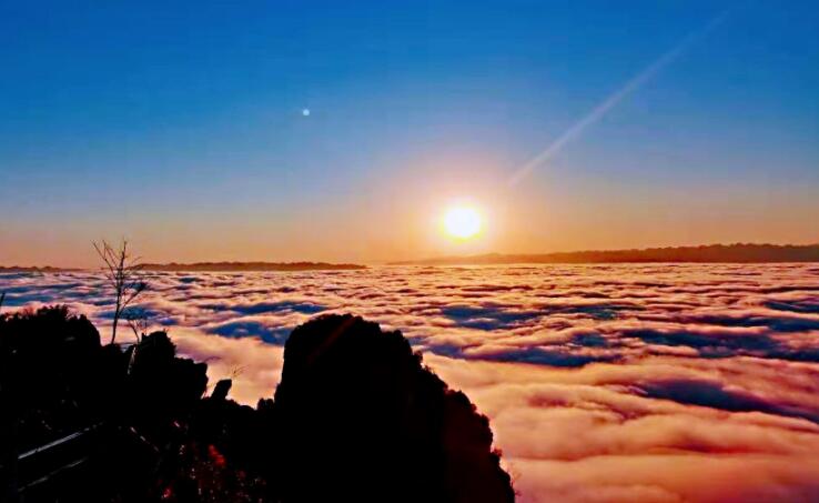 表示自己很纯洁的句子文案