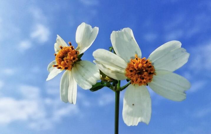 早安激励人心的话