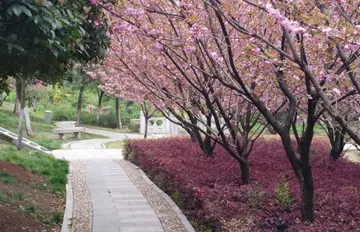 摘抄景色的句子文案大全