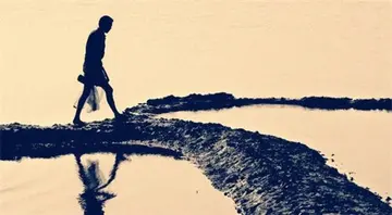 告诉我们深刻哲理的诗句文案