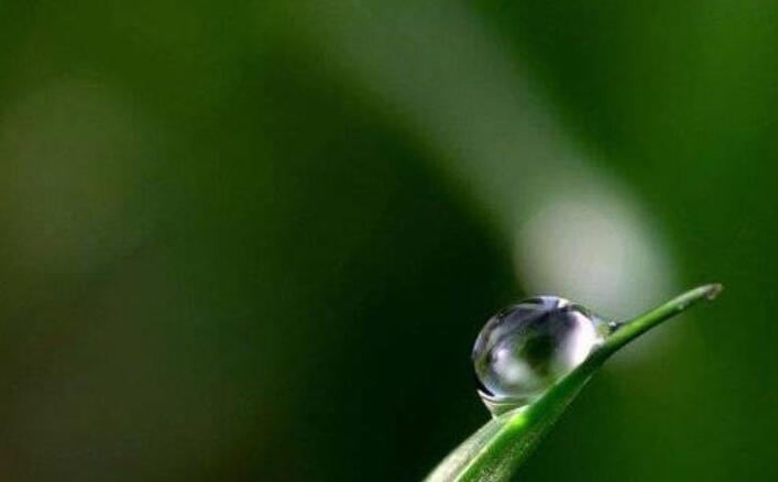 我很懂事的说说文案