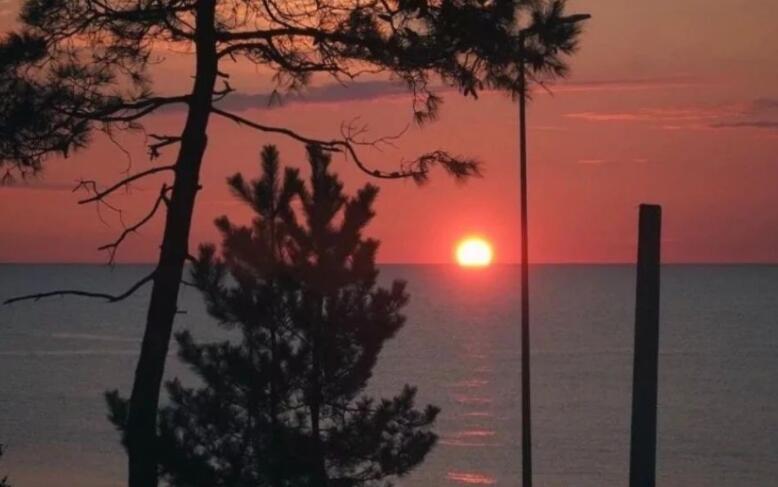 写给爱豆的唯美句子文案