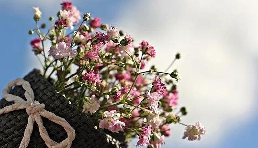 春天发的朋友圈配字