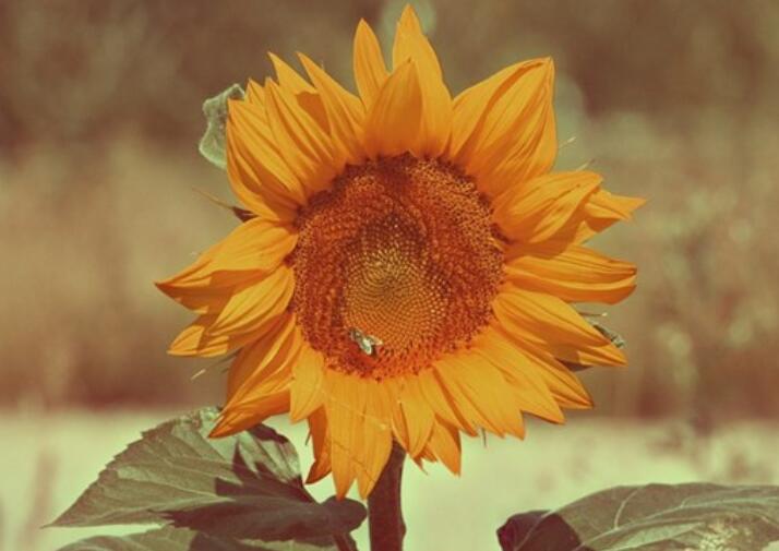 个性签名说说文案