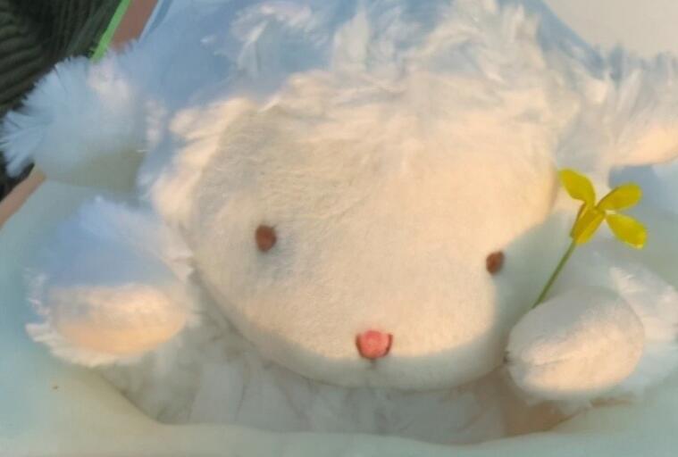 到货说说文案怎么写吸引人