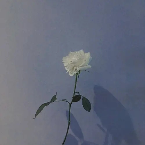 度过黑暗的句子文案