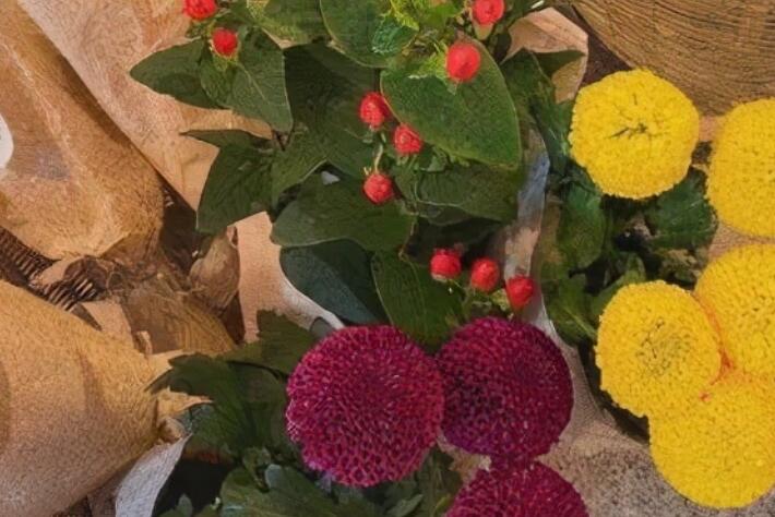 激励大学生的话奋斗的话