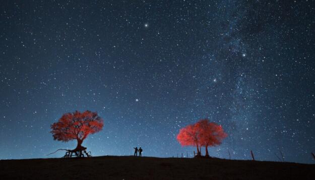 励志情话文案暖心短句