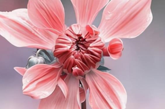 青少年励志名言短句精选