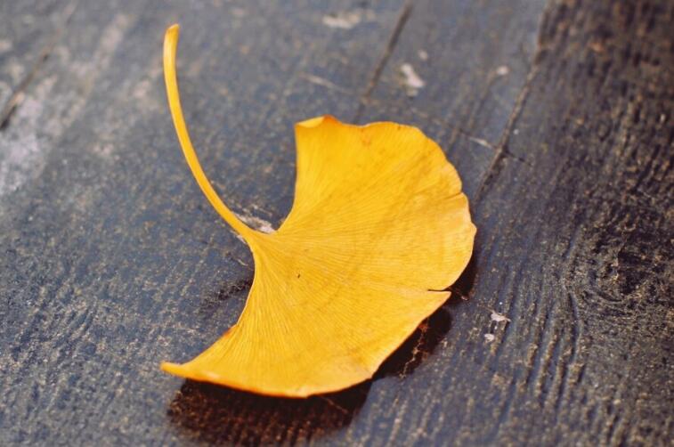 伤感的话语发朋友圈