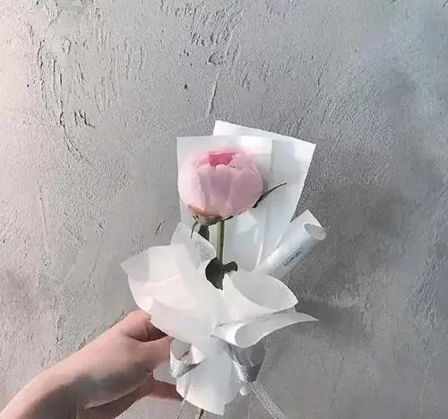 10个字的优美句子文案