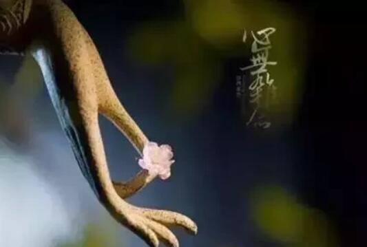 关于舍得的感悟一段话