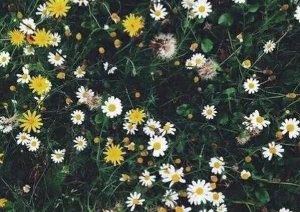 悲伤的话简短一些