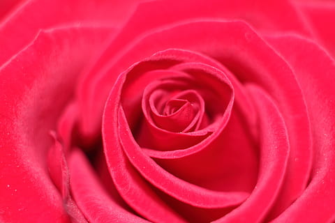 瞬间让男生感动的句子文案