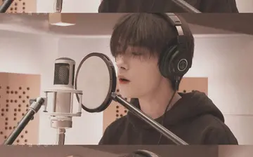 表白爱豆的句子文案