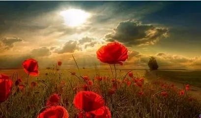 有关宽容的句子文案短句