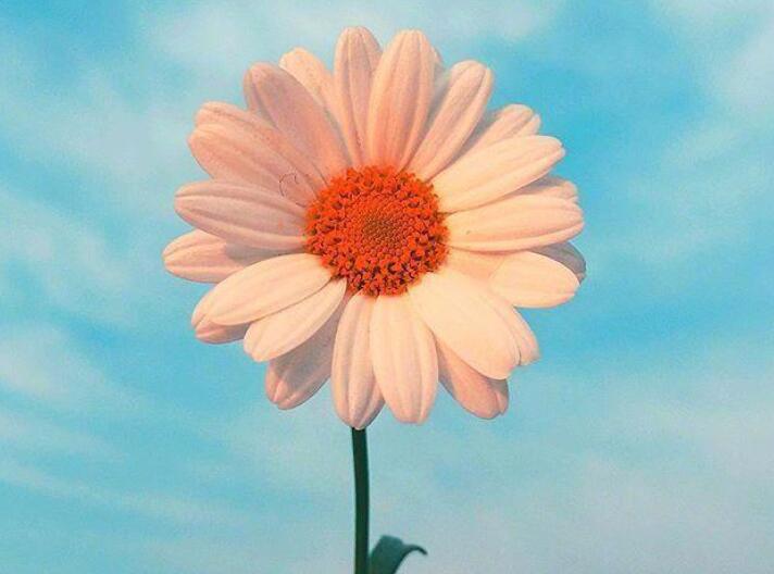 积极努力正能量的句子文案