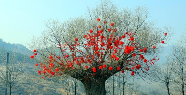 抖音点赞超火超多句子文案