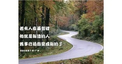 圣经中最美的二十句话