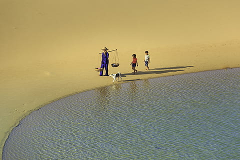 两句配对情话文案