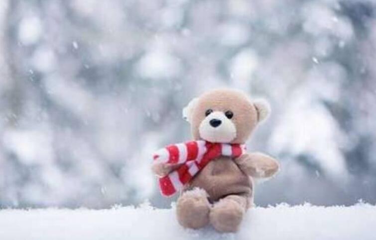 描写冬天优美的句子文案带书名