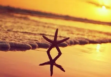 分享好心情的句子文案