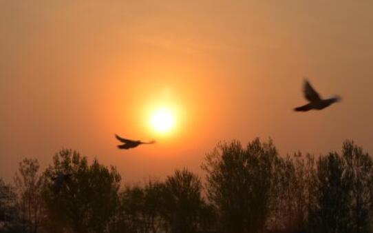 怀念家乡的经典句子文案