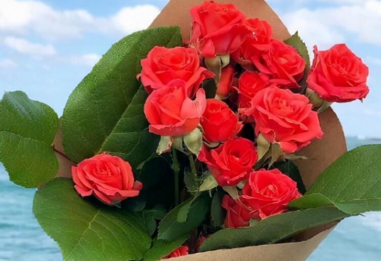 致自己的话十字