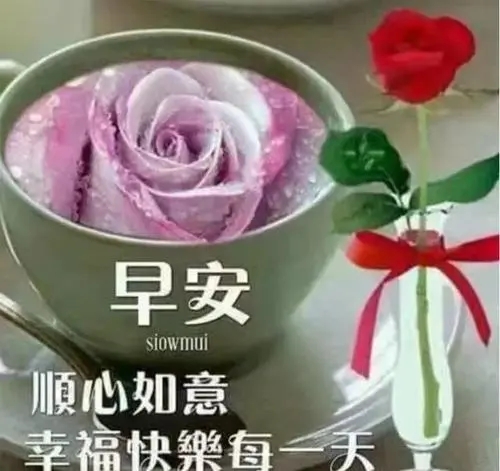 一句话的简单早安心语