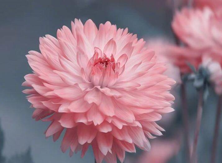 经典人生短句10个字