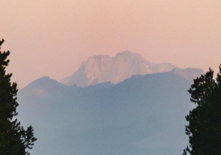 人心现实的说说文案