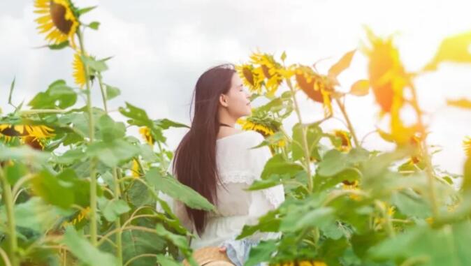 十点夜听人生感悟