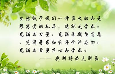 关于能力重要性的名言名句文案