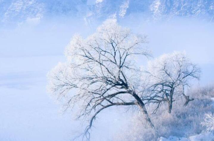 描写冬天雪景的句子文案