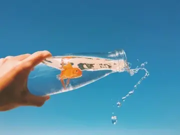 霸气狂拽的句子文案