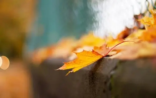 9个字的唯美句子文案锁屏