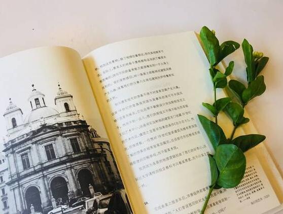 英语适合摘抄的句子文案