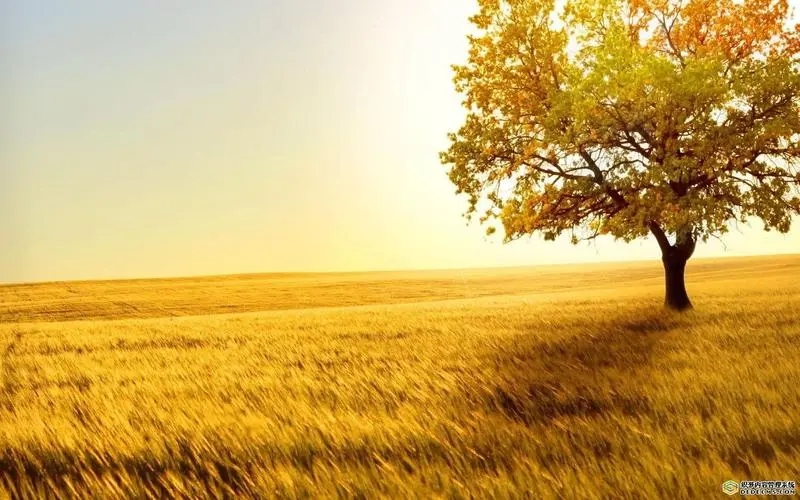 描写秋天的四字诗句文案