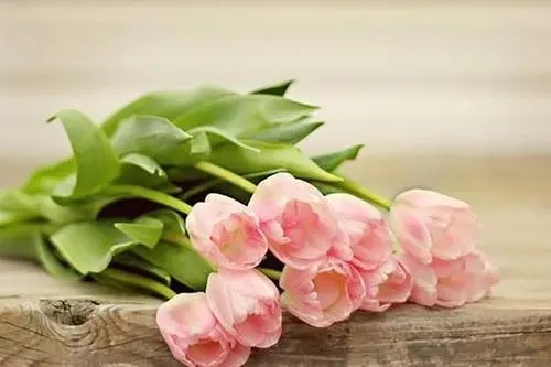 一切安好的唯美句子文案