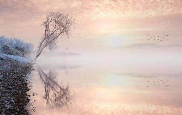 最新签名今日最新