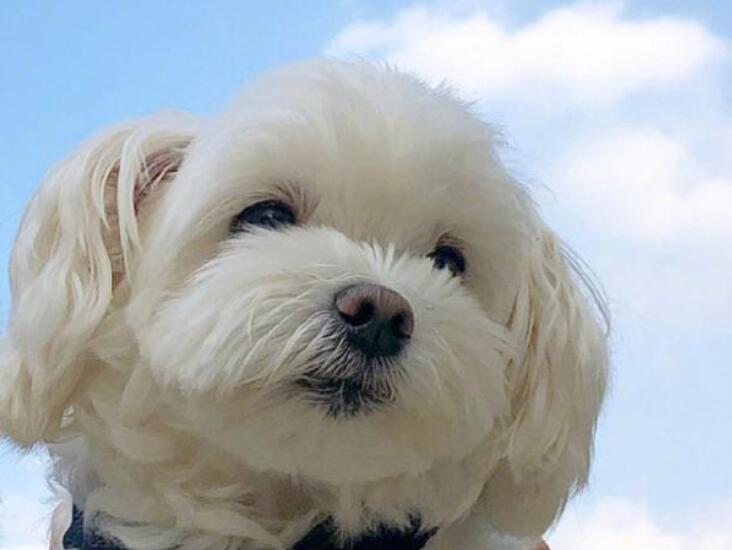 微句正能量的句子文案