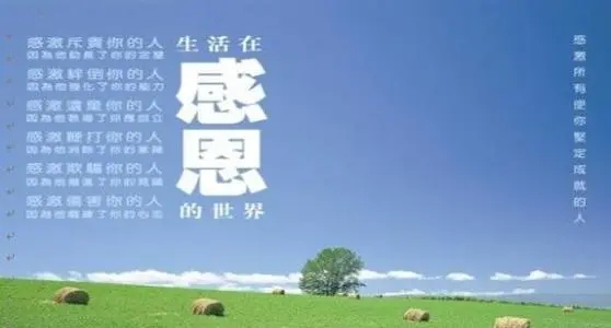 感恩每一位顾客的句子文案